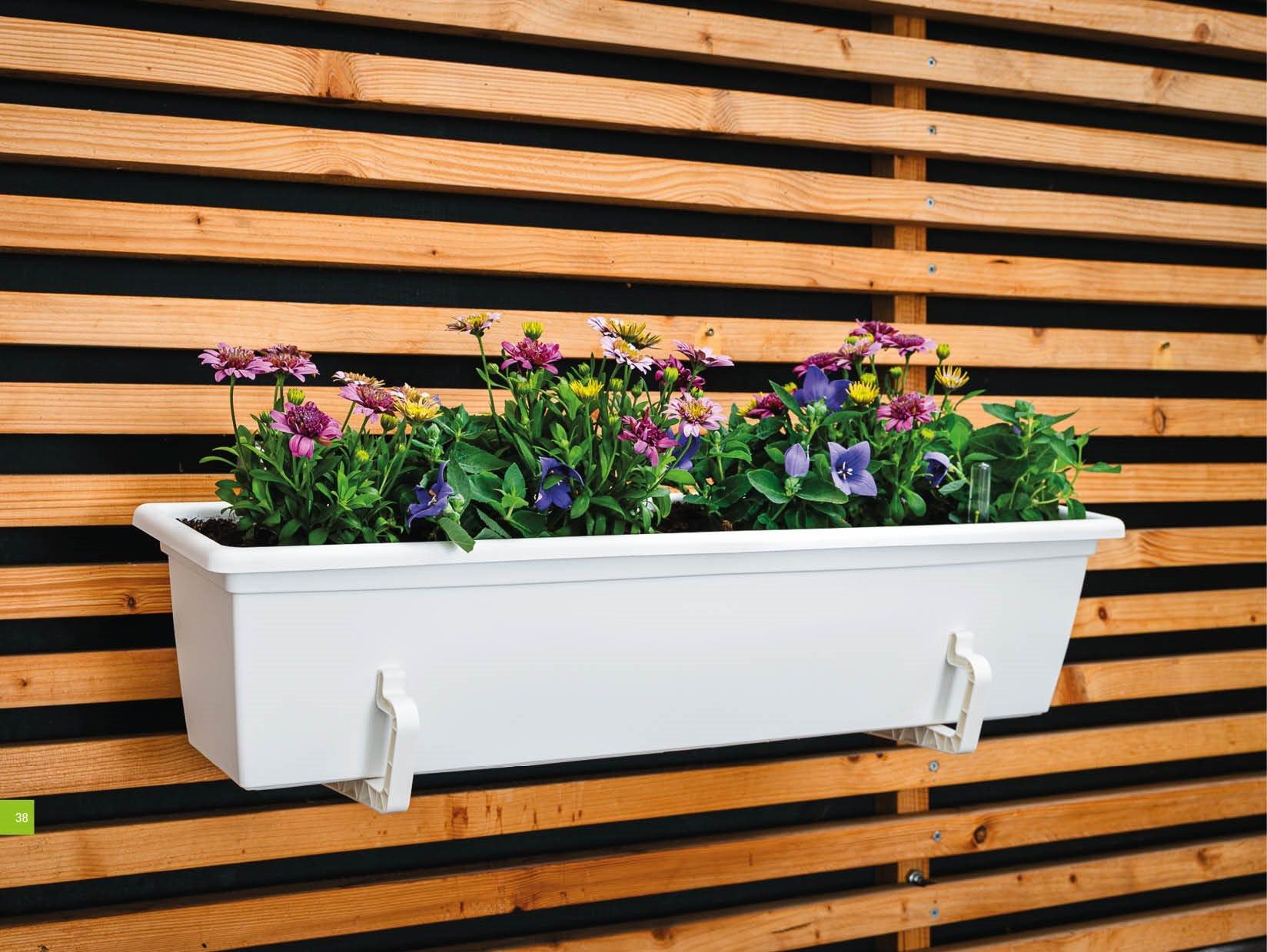 ExporterImages-2.Content