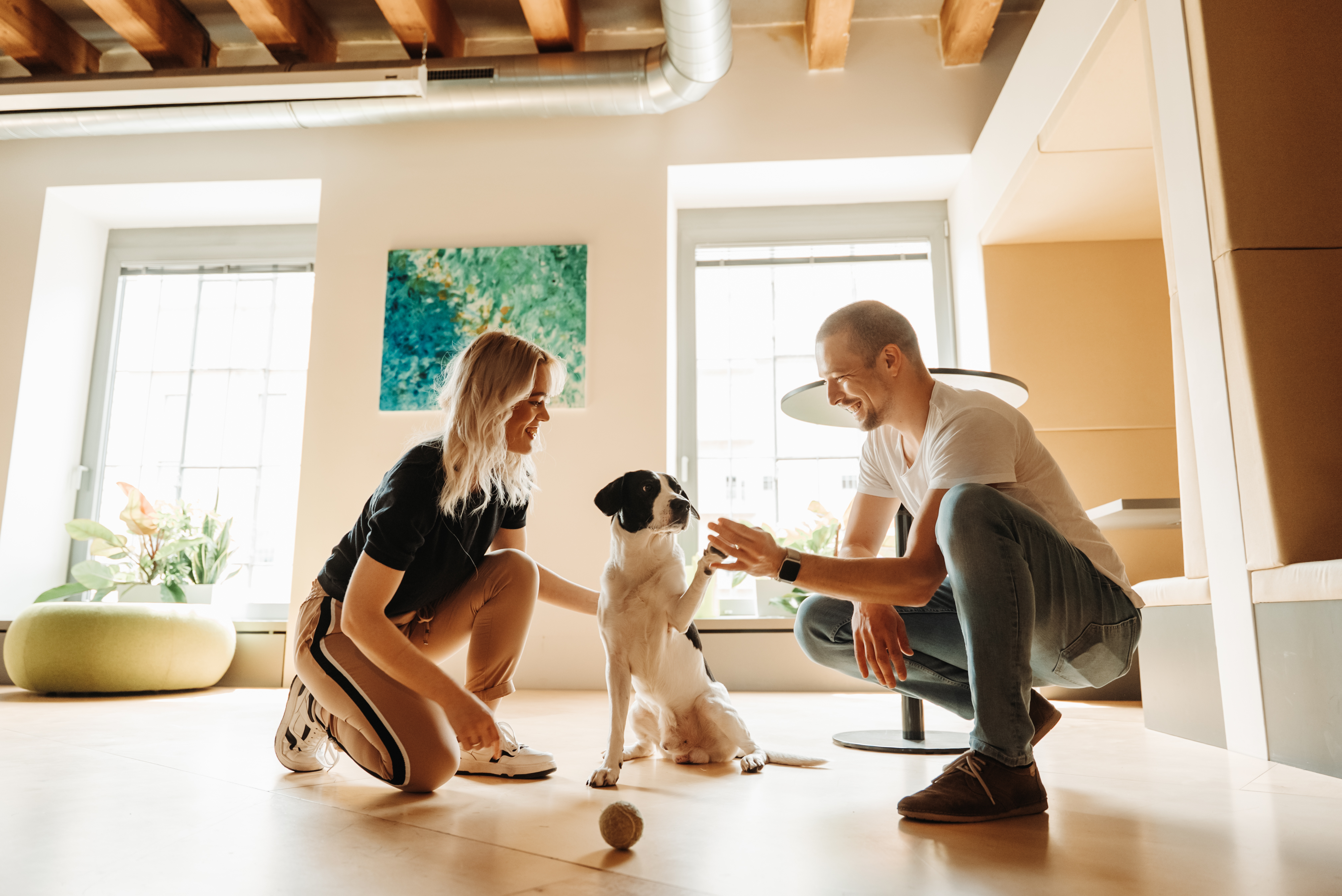 ExporterImages-3.Content