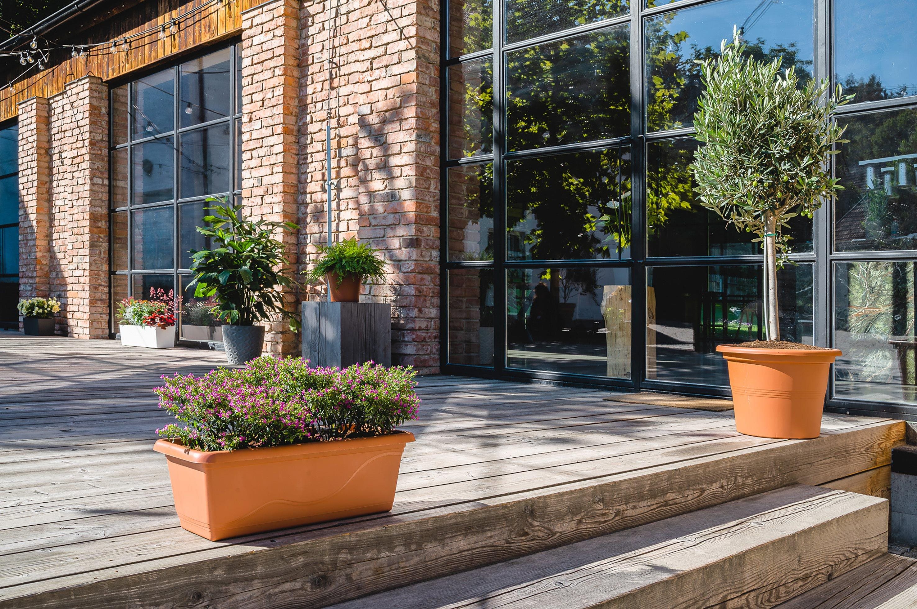 ExporterImages-3.Content