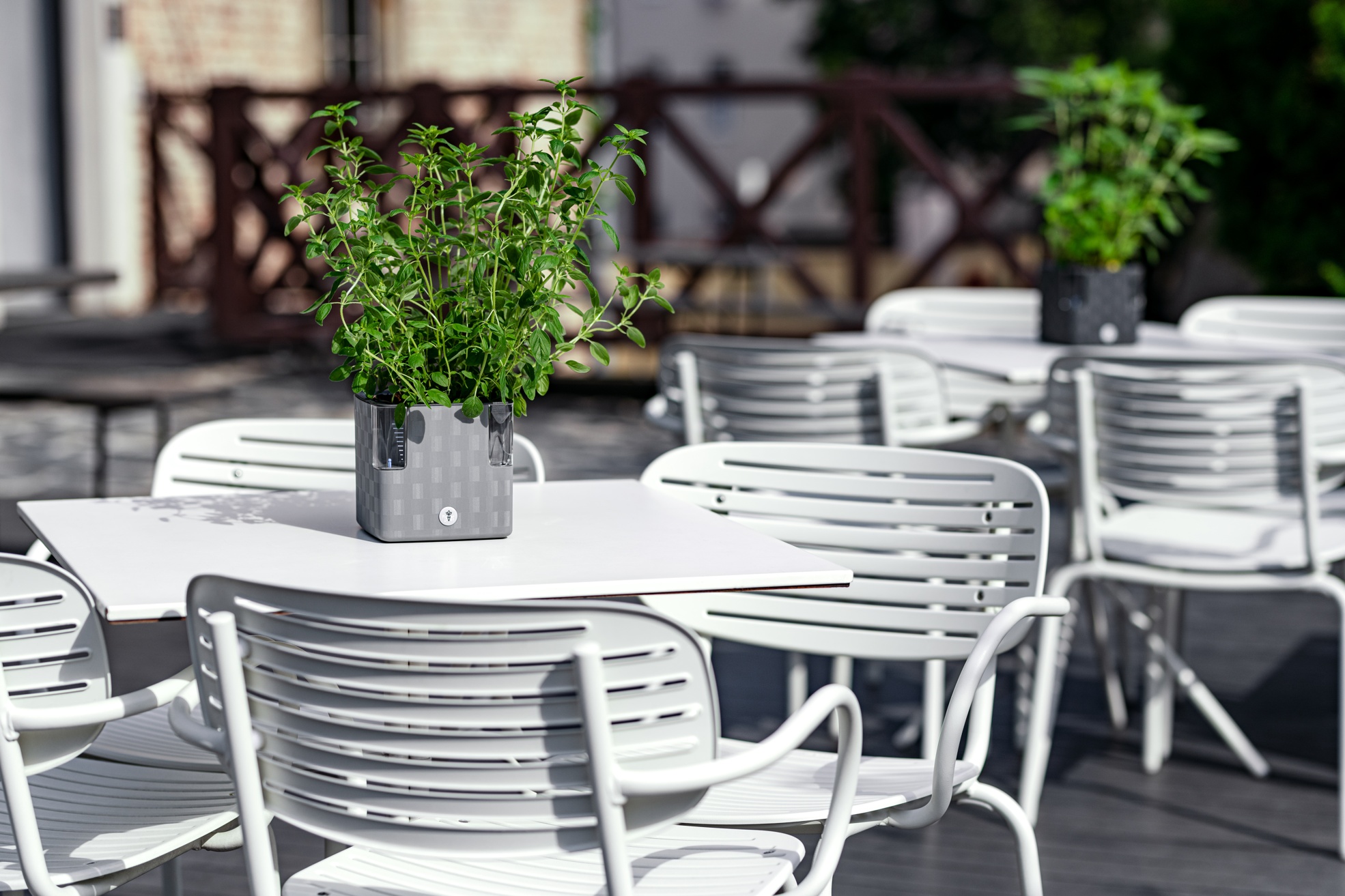 ExporterImages-4.Content