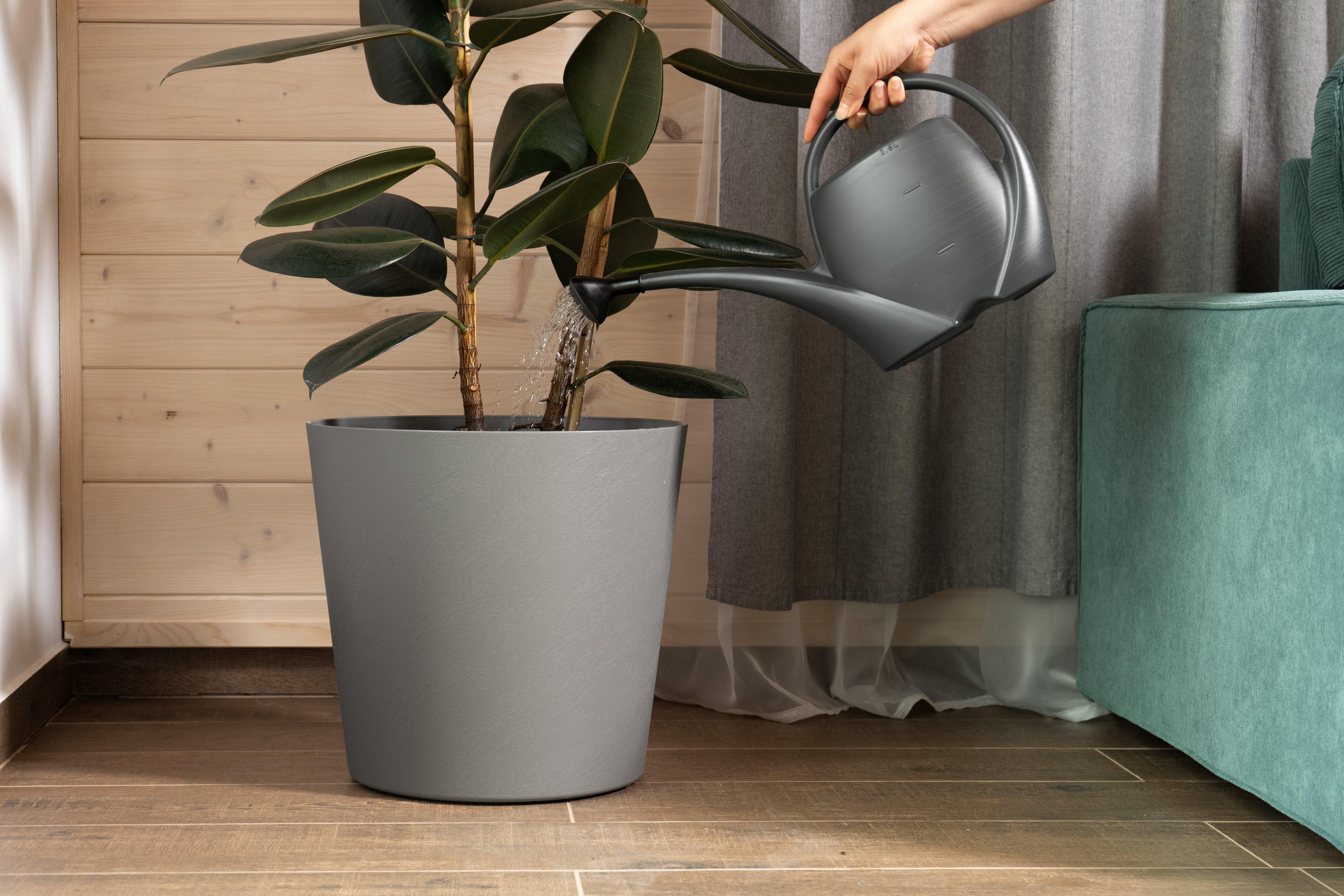 ExporterImages-7.Content